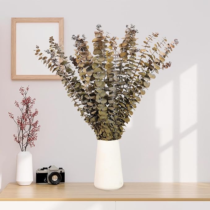Tavkite 16 Pcs Dried Eucalyptus Stems, 17'' Natural Fresh Eucalyptus Leaves Branches Hanging for Shower, Preserved Real Yellow Plant Live for Home SPA Wall Bathroom Wedding Party Vase Decor