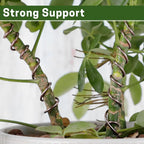 Bonsai Training Wire Set of 4, Total 128 Feet (32 Feet Each Size) 3 Size - 1.0MM, 1.5MM, 2.0MM, Corrosion and Rust Resistant (with Bonsai Wire Cutter)