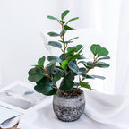 15" Fake Plants in Rustic Black Vase Real Looking and Touching Evergreen Ficus Leaf Faux Plant indoor for Book Shelf Bathroom Office Desk Kitchen Counter Bedroom Small Space Artificial Plant Decor