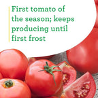 Bonnie Plants Early Girl Tomato 19.3 oz. 4-pack