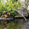 Aquascape Lazy Frog on Lily Pad Spitter Fountain for Ponds and Water Gardens, 78311