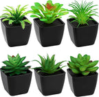 6 Pack Artificial Succulents Plants Potted Small Fake Greenery Plant Realistic in Black Pots for Office Desk Halloween Decorations Bedroom Living Room Shelf Bathroom Decor