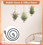 6Pcs Hanging Air Plant Holder, Air Plant Hanger with Jute Ropes, Soilless Tillandsia Display Stand for Home & Office Decor, Succulent Container
