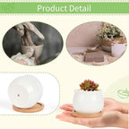 SHECIPIN 2 Pack Succulent Pots, 2.5 Inch Mini Ceramic Pots for Flower or Cactus Plants with Drainage Hole,Plants Not Included (White)
