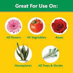 Miracle-Gro Water Soluble All Purpose Plant Food - Fertilizer For All Indoor or Outdoor Plants including Roses, Flowers, Vegetables, Houseplants, Trees, and Shrubs, 10 lbs.