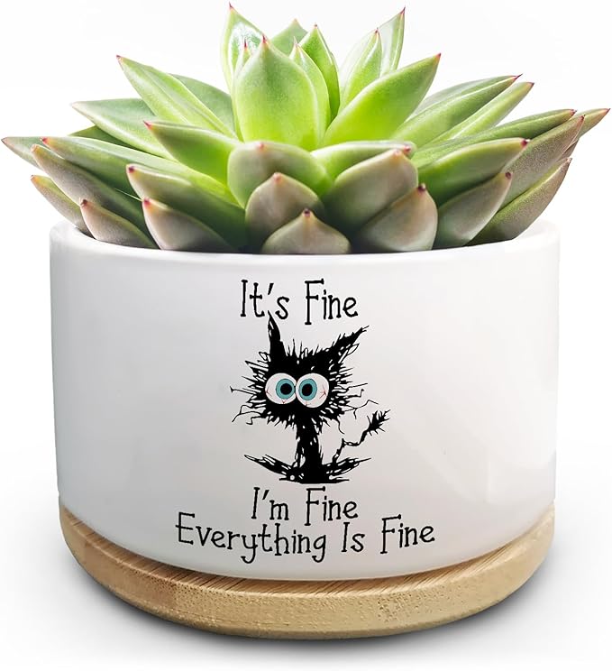 Funny Cat Plant Pot for Succulent, Cactus Flower Planter for Indoor Plants, Cute Succulents Pots with Inspirational Quote, Windowsill Decor Planter Gift for Cats Owner Cat Lover (No Plants)