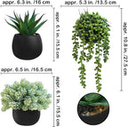 Winlyn Set of 3 Artificial Succulent Plants in Black Concrete Pots Faux Aloe Hops String of Pearls Potted Plants Small Fake Plants Desk Plants for Home Office Desk Kitchen Bathroom Shelf Windowsill
