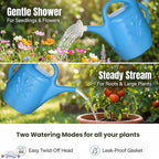 PMU 2 Gallon Watering Can - Garden Watering Can for Indoor & Outdoor Plants - Plastic Water Can with Detachable Sprinkler Head - Large Water Pot, Made in USA - Blue Pkg/1