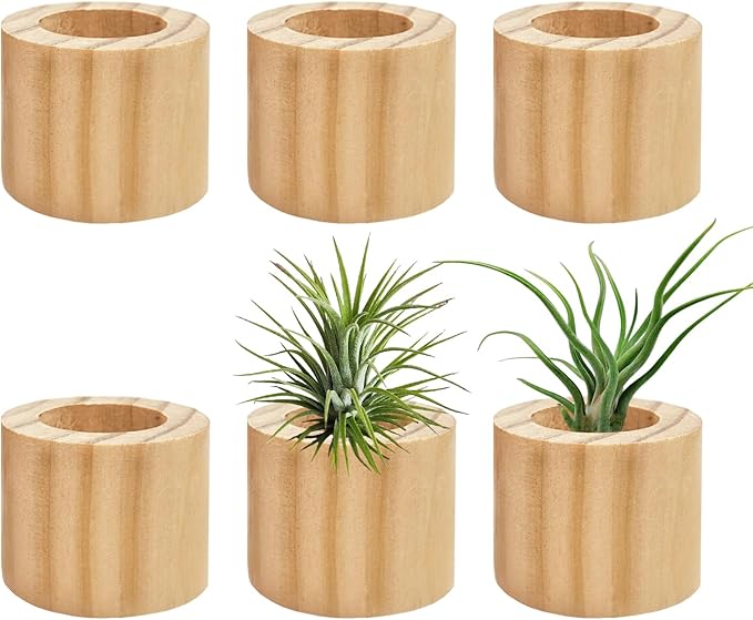 Belit 6 Pcs Air Plant Holder, Small Wooden Air Plants Live Holders for Home Decor (NO Plant Included)