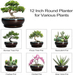 SQOWL Bonsai Planter 12 Inch - Ceramic Succulent Pots Large, Round Shallow Plant Pots Indoor with Drainage Hole and Saucer, Bowl Planter Outdoor for Flower, Room Decor, Housewarming Gifts, Blue-Brown