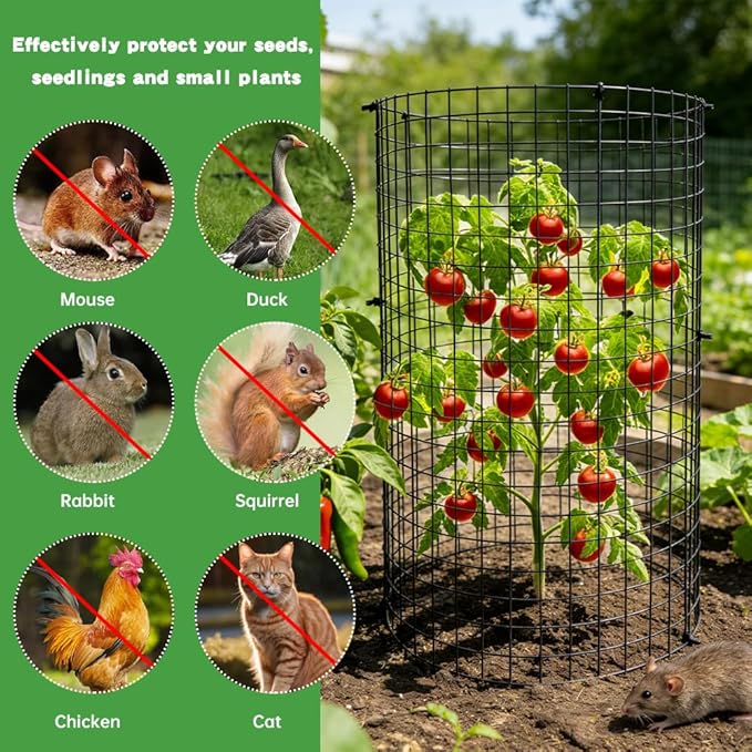 5 Pack Round Plant Protector from Animals, 12'' x 12'' Metal Plant Cages, 15 PCS Metal Mesh to Keep Animals Out, Garden Protection Bunny Barricades, Wire Plants Protectors for Rabbits Chicken Duck
