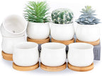 SHECIPIN Succulent Plant Pot, White Mini 2.6 inch Ceramic Flower Planter Pot with Bamboo Tray, Pack of 8 - Plants Not Included