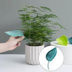 Fenteer 10 Pieces Pot Watering Set Leaf Shaped for Indoor Bonsai Watering Devices, Dark Blue