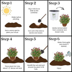 Proven Winners 2 Gal. Double Play Doozie Spirea Shrub