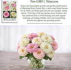 Blushing Bride Mix Zinnia Seeds (Zinnia elegans) – 200+ Heirloom Non-GMO Seeds by Isla’s Garden Seeds, Soft White & Pink Blooms, Elegant Cut Flowers, Long Blooming, Garden Gift Idea