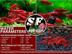 SF Aquatic™ Choose Your Favorite Color High Grade Neocaridina Live Freshwater Aquarium Shrimps Fully Mature Breeding Age. Live Arrival Guarantee. (Bloody Mary, 20 Shrimps)
