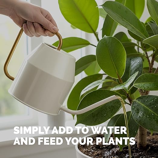 Ficus Tree Fertilizer – Liquid Plant Food for Lush Foliage, Stronger Roots & Healthy New Growth, 32 oz