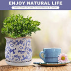 Ceramic-Planters-for-Indoor-Plants with Saucer, 6 inch Vintage Ice Crackle Glaze Plant Pots with Drainage Holes, Decorative Flower Pots for Outdoor Garden Home Decor, Tuscan Pot for Plant