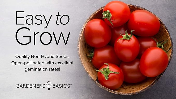 Gardeners Basics, Large Cherry Tomato Seeds for Planting Heirloom Non-GMO Red Cherry Tomato Plant Seeds for Home Garden Vegetables Makes a Great Gift for Gardening