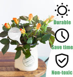 20 PCS Clear Plant Watering Globes,Plastic Watering Bulbs,Self Watering Planter,Flower Automatic Watering Device for Plants Indoor,Outdoor,Flowerpot,Home Garden(Large,Medium,Small)