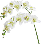 Htmeing 38 Inch Artificial Phalaenopsis Flowers Branches Real Touch (Not Silk) Orchids Flowers for Home Office Wedding Decoration,Pack of 2 (Green White)
