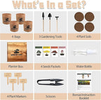 Bonsai Garden Starter Kit, 4 Seeds Growing into Sakura, Ginkgo, Black Pine, Red Flame, Including Complete Gardening Tools & A Planter Box with Cover for Men Women Beginners