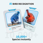 Smart Solar Bird Feeder with Camera & Outdoor Bird Bath | 2K HD Dual-Lens, AI Bird Identification, Instant Mobile Alerts, IP66 Weatherproof, Ideal for Outdoor Bird Watching