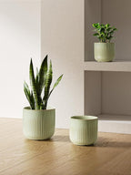 LE TAUCI Ceramic Pots for Plants, 8.3/7/6 Inch Indoor Planters with Drainage Holes & Mesh, Modern Glossy Glaze Cylinder Fluted Plant Pot for Snake Plant, Set of 3, Sage Green