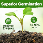 HOME GROWN Herb Seeds for Planting 15-Pack Massive Seed Count 4,300+ Seeds Non-GMO Heirloom | Extra Large | Culinary Herb Kit, Indoor Outdoor & Hydroponic | Grow Your Own Herbs | Gardening Gift