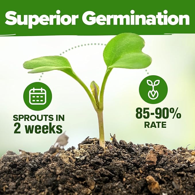 HOME GROWN Herb Seeds for Planting 15-Pack Massive Seed Count 4,300+ Seeds Non-GMO Heirloom | Extra Large | Culinary Herb Kit, Indoor Outdoor & Hydroponic | Grow Your Own Herbs | Gardening Gift