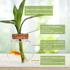 Small Betta Fish Tank Glass Fish Bowls for Betta Fish Goldfish, Aquaponic Fish Tank and Plants Cuttings Planter Terrarium Desktop Decorations Gifts