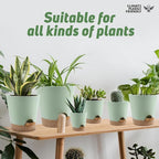Indoor Self Watering Planters with Drainage Holes and Saucers, 8, 7, 6.5, 6, 5.5, 5 Inches, 6 Pots（Green+Brown