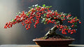 Winterberry Bonsai Tree for Growing - 1 Year Seedling - Ready to Plant (1 Seedling)