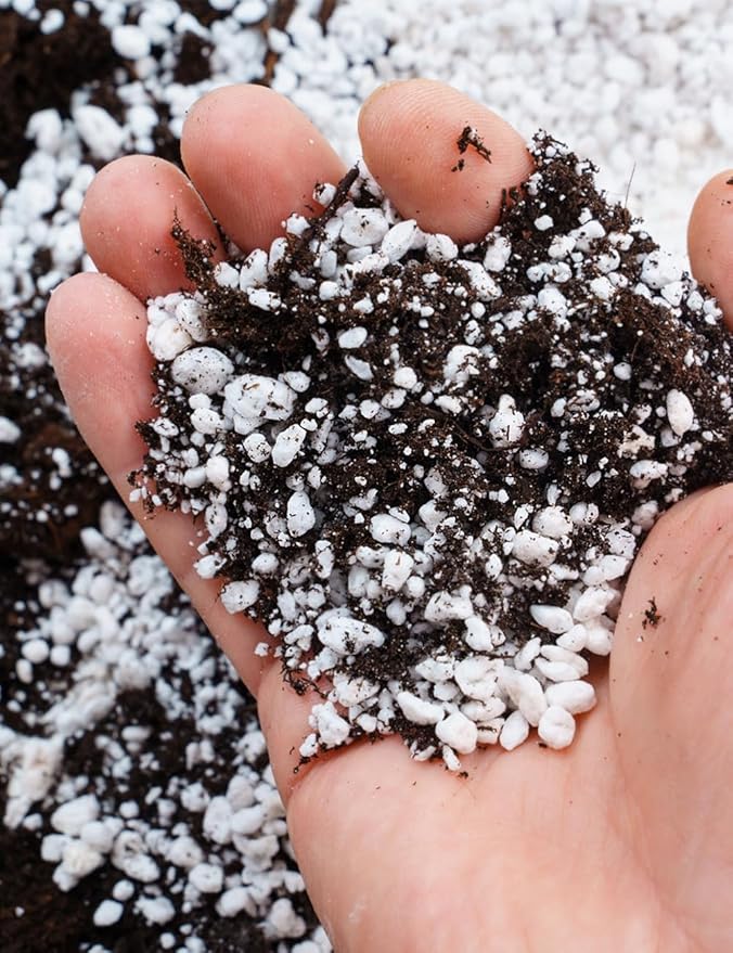 TOYPOPOR Perlite for Plants, (10qt) 3-6mm Organic Perlite for Gardening, Perlite for Plants Indoor, Soil Additive Conditioner Mix Improve Drainage and Ventilation Promote Root Growth and Soil Health