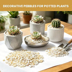 3/8 Inch Cream Beige Decorative Pebbles, Natural River Rocks for Indoor Plants, Succulents, Planters, Vases, Terrariums, Aquarium Gravel, Top Dressing Stones, 12 LB