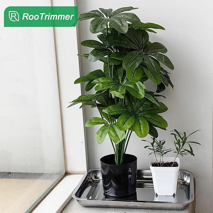 RooTrimmer Stainless Steel Plant Trays, 5 Pack Multi-Purpose Tray for Indoor Outdoor Plants, Seed Starting Tray for Potted Plants(11.6 inch×15.2 inch, 1.45" Height, 5-Pack)