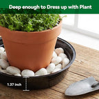 TRUEDAYS 20 Pack Black Plant Saucers – 4 Sizes (6"/8"/10"/12") Plastic Flower Pot Trays for Indoor & Outdoor Plants, Drip Trays to Protect Floors & Surfaces