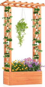 LDAILY Raised Garden Bed with Trellis, Above Ground Garden Bed with Hanging Roof, Side Trellis, & Drainage Holes, Planter Box for Outdoor Climbing Plants Vines Flowers (1, 31" L x 14" W x 60" H)