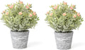 2 Pack Small Desk Plants, Artificial Bathroom Plants Decor with Flower in Vintage Melamine Pots, Faux Plants Indoor for Shelf Decor in Home Office, and Spring Decor (Peach)