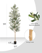 FLOWORLD 7FT Olive Trees Artificial Indoor, Tall Faux Olive Tree 7FT (84in) with Natural Wood Trunk & Realistic Olives, Stable Base, Pet Friendly Artificial Plant for Home Office, Living Room, Outdoor