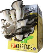 Blue Oyster Mushroom Grow Kit (5 lbs) | Mushasaurus | Beginner-Friendly & Easy to Use | Handmade in USA (1 Blue Oyster Mushroom Grow Kit)