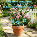 Plant Self Watering Globe, Small 6pcs Plant Watering Stakes Automatic Plant Watering Bulb System Spikes, Flower Automatic Watering Device, Garden Self Waterer for Indoor Outdoor Plant
