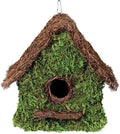 SuperMoss (56012) Maison Birdhouse with Chain, 11 by 12-Inch, Fresh Green