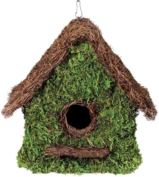 SuperMoss (56012) Maison Birdhouse with Chain, 11 by 12-Inch, Fresh Green