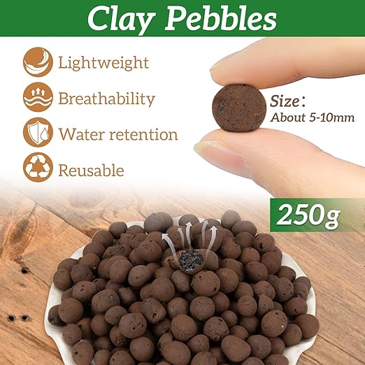 RAINFLOW Leca Clay Pebbles for Plants - 5mm-10mm Clay Balls for Plants Pebbles for Indoor Plant Hydroponic Growing Gardening Orchids Drainage Decoration Aquaponics Growing Terrarium 250g