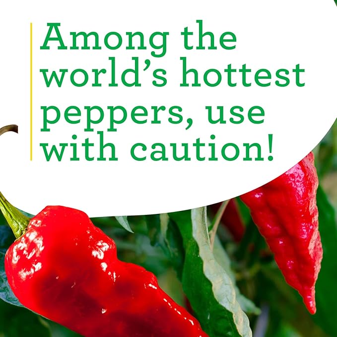 Bonnie Plants Red Ghost Pepper 19.3 oz. 4-Pack