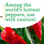 Bonnie Plants Red Ghost Pepper 19.3 oz. 4-Pack