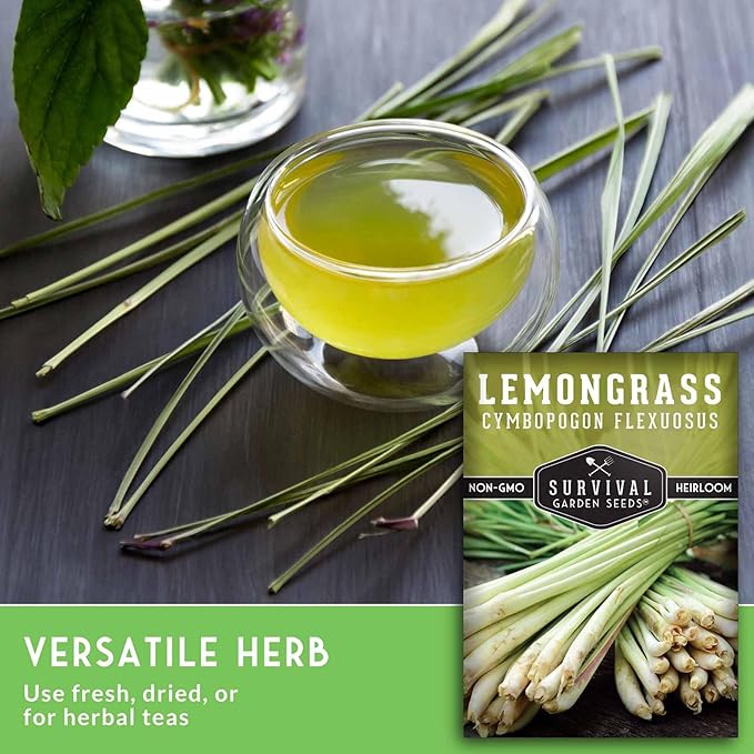 Lemongrass Seeds for Planting - Lemon Scented Asian Lemongrass for Your Home Vegetable Garden - Heirloom Non-GMO Open-Pollinated - Survival Garden Seeds (3 Packs)