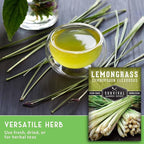 Lemongrass Seeds for Planting - Lemon Scented Asian Lemongrass for Your Home Vegetable Garden - Heirloom Non-GMO Open-Pollinated - Survival Garden Seeds (2 Packs)