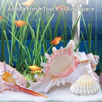 NIIIYTYB Air Plant Holders Natural Conch Shell Seashell Planters for Tillandsia Succulent Display Decorative Air Plant Pots Beach Themed Home Décor for Garden Parties No Plants Included 3-4 Inch